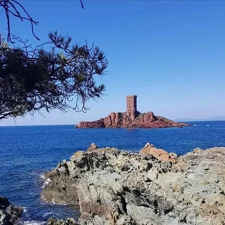 Confort Avec Piscine Villa Saint-Raphaël